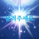 시라비타커피 - 동구 계족로450번길 13 | 2/15-16 Mrs. GREEN APPLE 내한 공연 후기