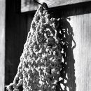 소머거리 이미지