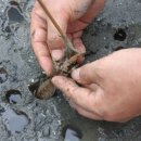 남해-224 이미지