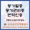 모아공인번역행정사사무소 이미지