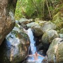 피서농장 이미지