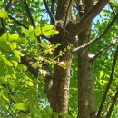 김해봉황초등학교 이미지