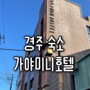 신관중학교 | 경주 가성비 숙소 황리단길 근처 [가야미니호텔] 내돈내산 후기