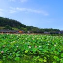 목은 이색 선생님의 생가가 있는영덕, 영해 괴시리 민속마을 이미지