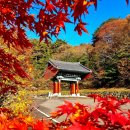 득수 | 하동 화개 칠불사 탐방