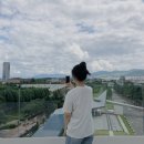 플라플로 (PLFL) 이미지