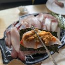 거미상회 이미지