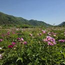 태조농장 네이버블로그