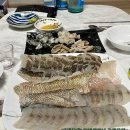 18일 - 大맛조개, 활민어, 선어민어, 자연산 활참농어 이미지
