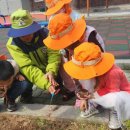 원천초등학교병설유치원 이미지