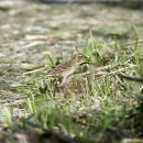 외연도5 이미지