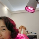 일광 대성베르힐 103동 앞 | 기장 마사지 일광 마사지 바디밸런스테라피 마사지