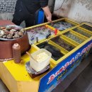 불타는조개 이미지