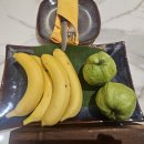 리조트삼거리부근이동식화장실 | 나트랑 아미아나 리조트 깜란 도착기 자동출입국심사...픽업·2 베드룸 가든뷰 패밀리스위트 객실 후기