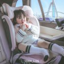 개 쿨 | 카시트 통풍시트 겸 유모차 라이너 쿨시트 폴레드 에어러브5 후기