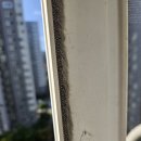 한일타운3차경로당 | 마산 양덕동 한일타운3차 방충망 모헤어 교체 후기! 단 30분으로 벌레 걱정 끝!