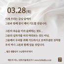 사랑의 유효기간 이미지