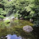 미르조경