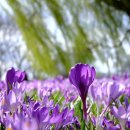 남한고등학교 내 이미지