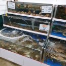 도남한우숯불촌 | 여기가 핫플 회 포장 전문점 영천 현수산회도매 맛집 인정