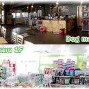 도그애견샵 이미지