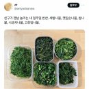 참맛반찬 이미지