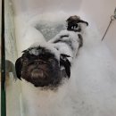 몽스파 연제점 이미지