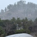 샐러드오 이미지