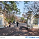 속리뜰 | 청와대 관람 - 청와대 산책로와 관저