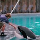 알리와 윌리 이미지