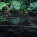 작은풍경 이미지