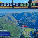 탑거리세천 이미지