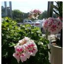 해주사우나 이미지