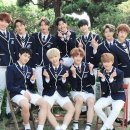 골든차일드 카카오 검색결과