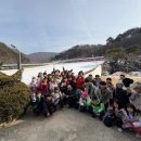 용인대성민태권도 이미지