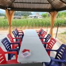 청풍모들펜션 이미지