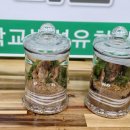 외삼초등학교(병설) 이미지