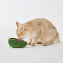 제라펫 | 무인양품 펫 반려동물용 식기 세트 원목 스탠드 후기