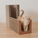 펠리스 쇼핑하우
