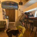 제주도게스트하우스 유로민박 이미지