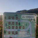 사가록캠핑장 이미지