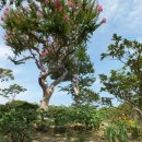 동호농장 이미지