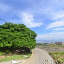 경관공인중개사사무소 이미지