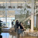 우연1972 이미지