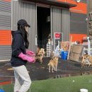 화도농장 이미지