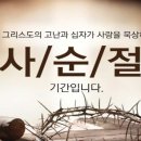 사순절에 다시 오는 봄 이미지