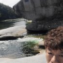 경봉 복숭아 수확 마감 2일전 천일도 복숭아 이미지