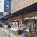 시즈카투어 네이버블로그