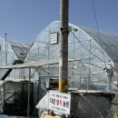 다은농장 | 대구 근교 딸기체험농장 고령 다은딸기농원 가성비 좋은 키즈체험 예약 후기