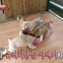 인종농장 이미지